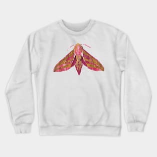 Elephant Hawk Moth Crewneck Sweatshirt